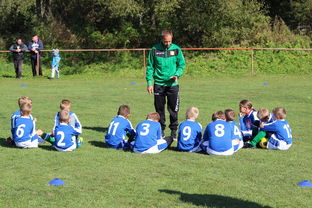 开云电子-中国篮球教练员技术战术创新能力提升路径,篮球教练发展